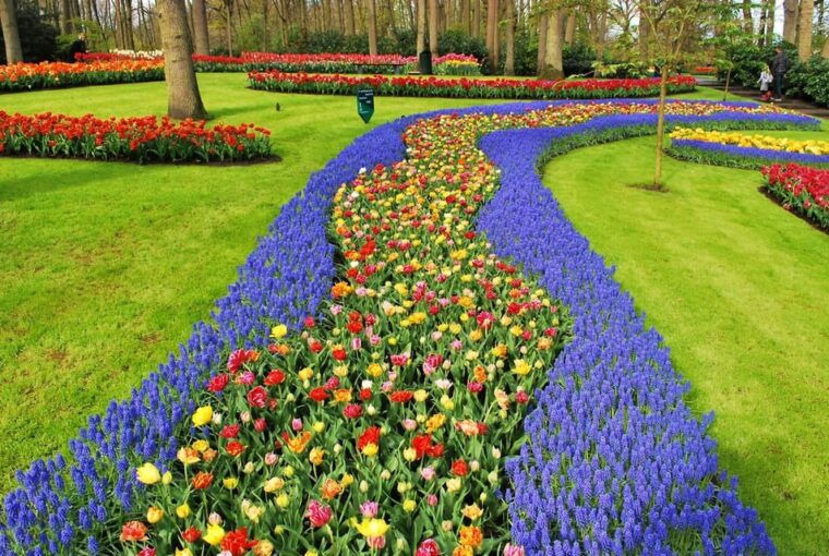 keukenhof-tulip-royalty-tour-with-exclusive-private-driver