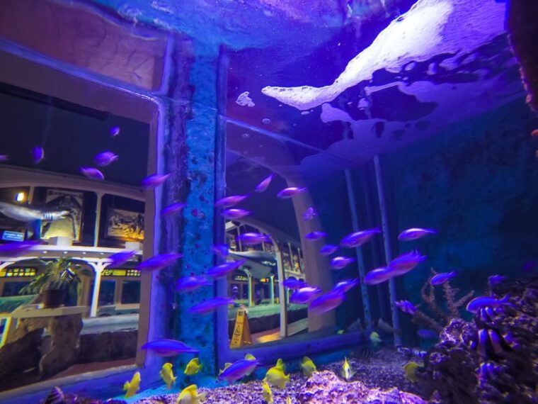 key-west-aquarium-tickets