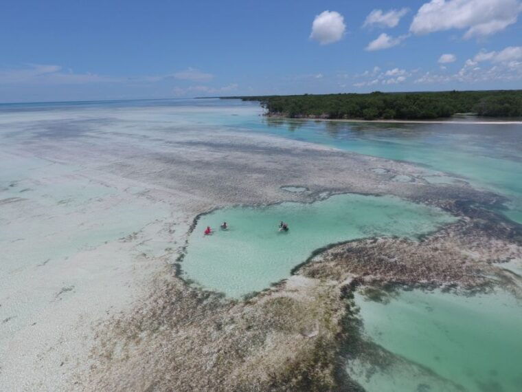 key-west-eco-safari-sandbar-tour-with-snorkeling
