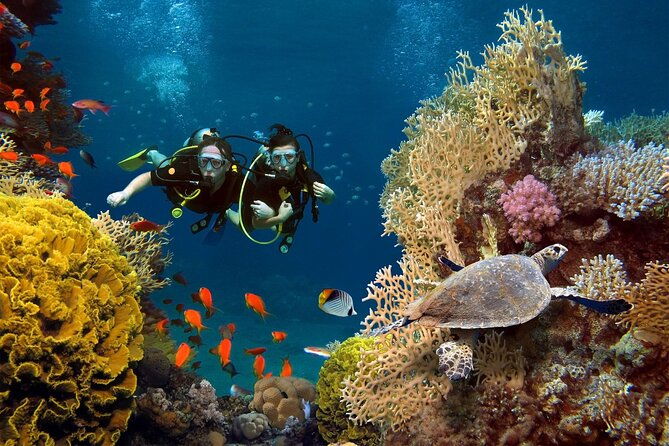 key-west-private-tour-tailor-made