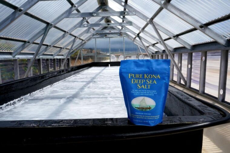 kona-hawaiian-salt-farm-tour