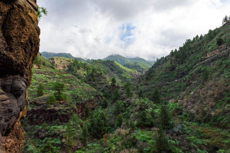 la-palma-poris-de-candelaria-hiking-tour