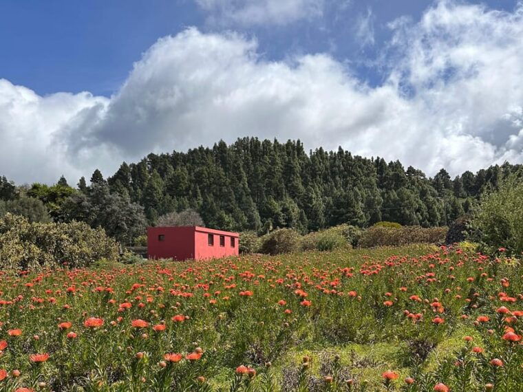 la-palma-tour-of-an-ecological-farm-with-animals-and-tasting