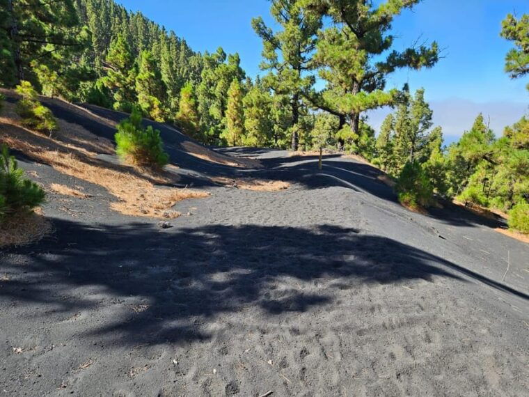la-palma-tour-to-the-new-tajogaite-volcano-360o