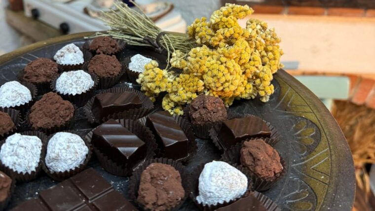laconi-chocolate-and-typical-liqueurs-workshop-w-tasting