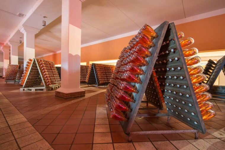 lake-garda-garda-hills-wine-tour-and-tasting