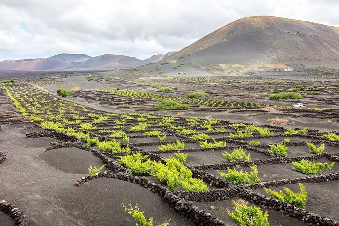 lanzarote-tour-with-timanfaya-national-park-and-el-golfo