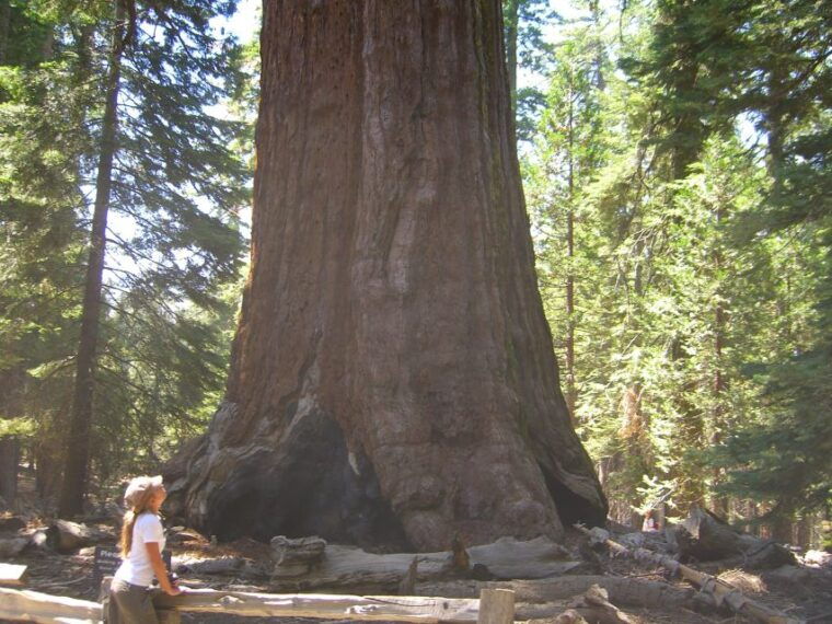 las-vegas-southwest-usa-national-parks-11-day-trip-to-sf