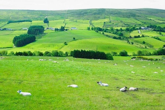 liberty-irish-tours-dublin-city-wicklow-mountains-luxury-car-shore-excursion