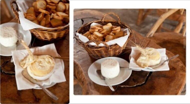 lisbon-azeitao-cheese-workshop-with-wine-food-tasting