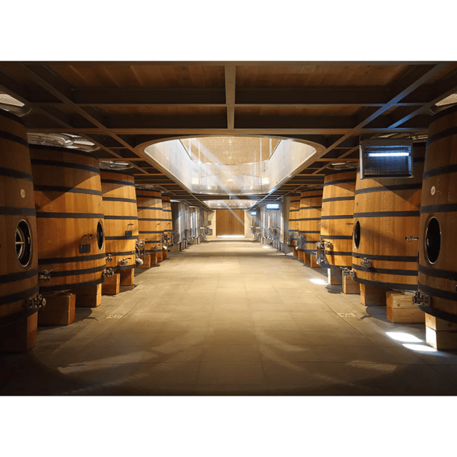lisbon-private-full-day-wine-tour-with-driver