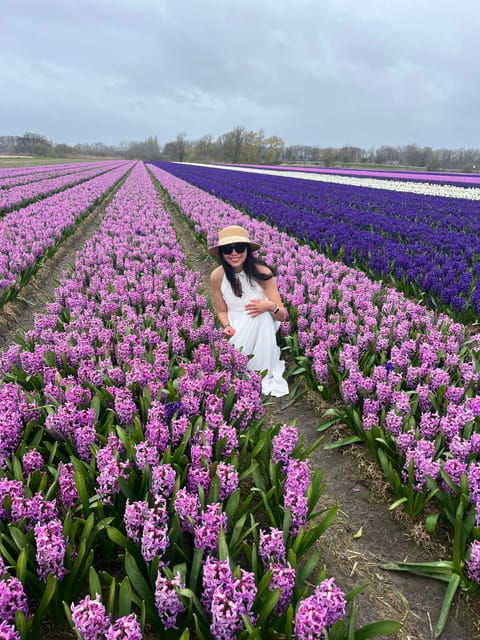 lisse-private-tulip-fields-tour-with-a-local-guide
