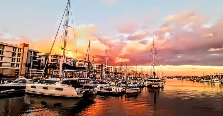 los-angeles-luxury-cruise-with-wine-cheese-sea-lions-2