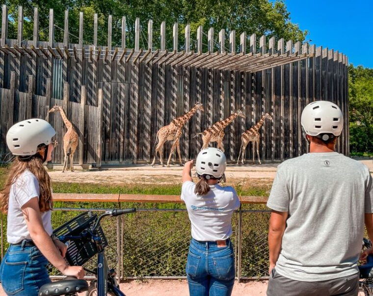 lyon-tete-dor-park-ebike-tour