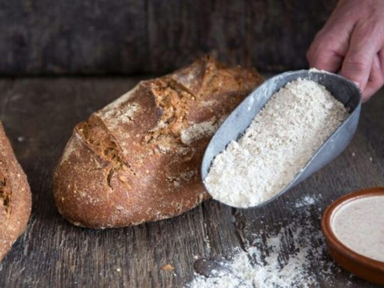 maastricht-culinary-walking-tour-with-tastings