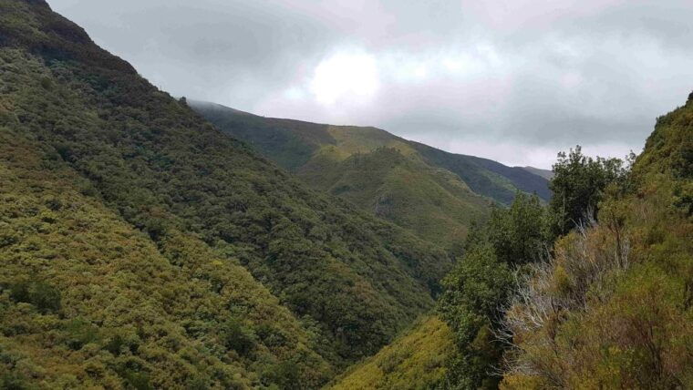 madeira-private-walking-tour-of-levada-das-25-fontes-pr6