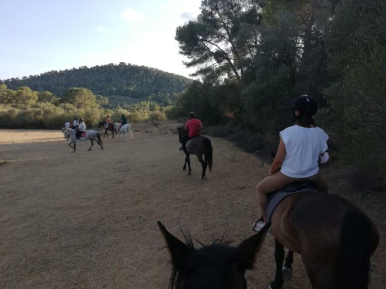 mallorca-guided-horseriding-tour-of-randa-valley