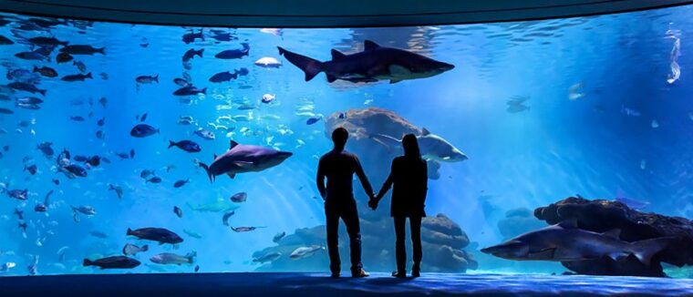 mallorca-palma-aquarium-entry-ticket-w-optional-3d-cinema