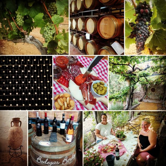 mallorca-private-wine-tour-with-tasting-and-picnic