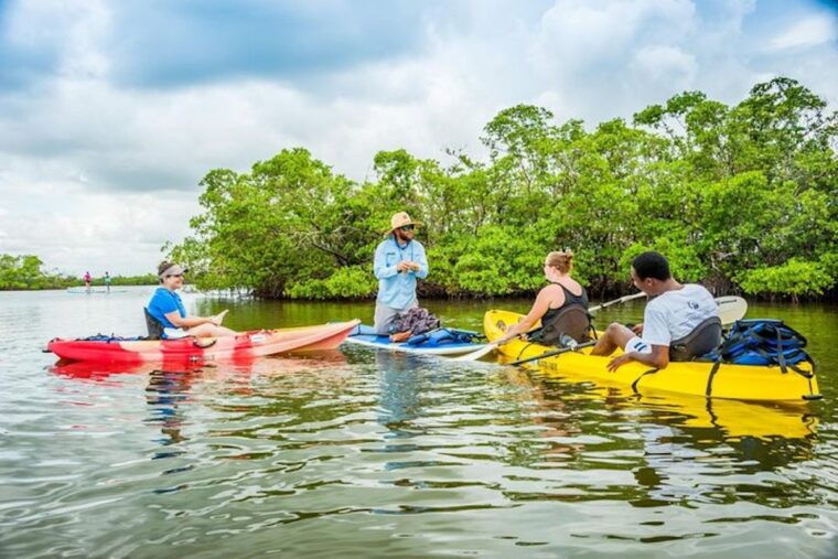 marco-island-kayak-mangrove-ecotour-in-rookery-bay-reserve
