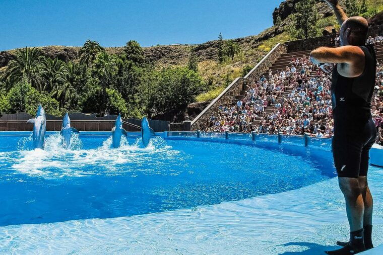 maspalomas-palmitos-park-ticket-with-dolphin-and-bird-shows