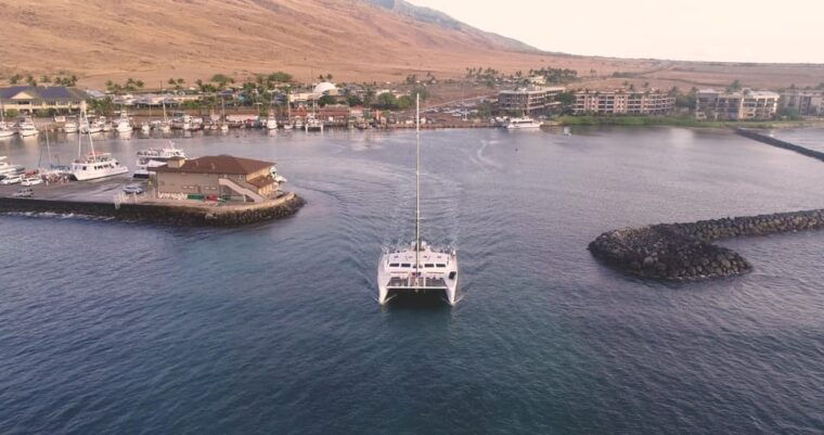 maui-alii-kai-turtles-tacos-snorkel-sail
