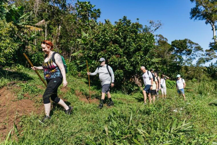 maui-rainforest-waterfalls-guided-hike-with-picnic-lunch