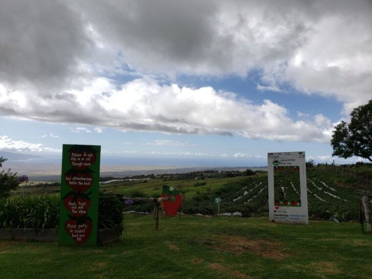 maui-road-to-hana-adventure-with-breakfast-lunch