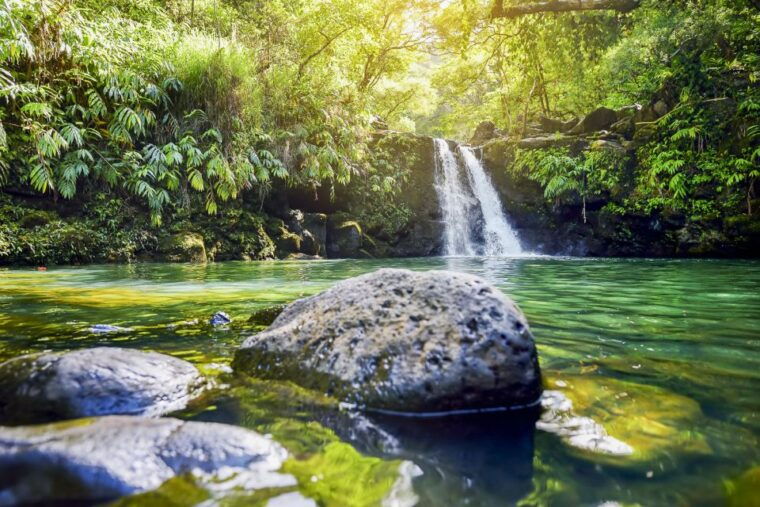 maui-small-group-road-to-hana-sightseeing-tour