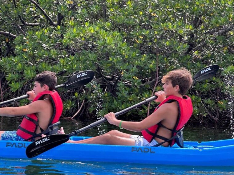 miami-paddle-board-or-kayak-rental-in-virginia-key
