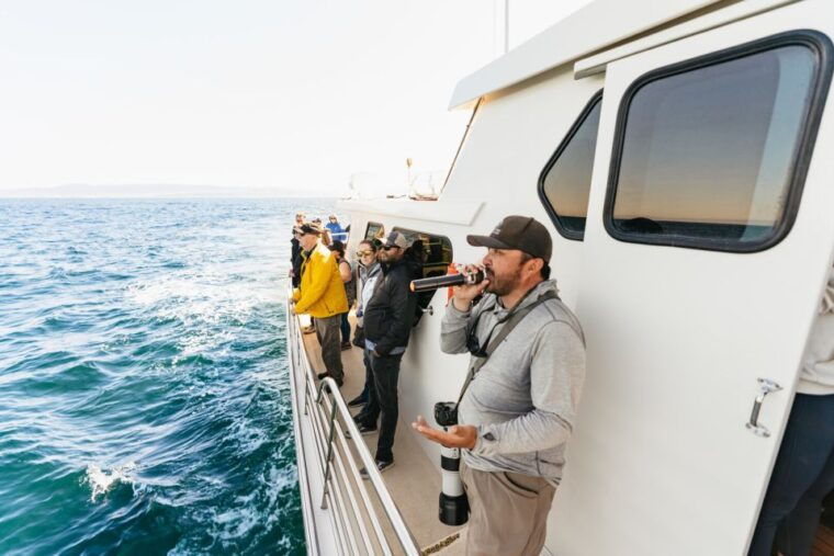 monterey-bay-whale-watching-tour