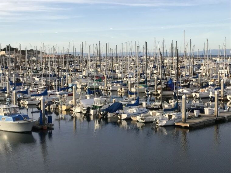 monterey-peninsula-sightseeing-tour-including-17-mile-drive