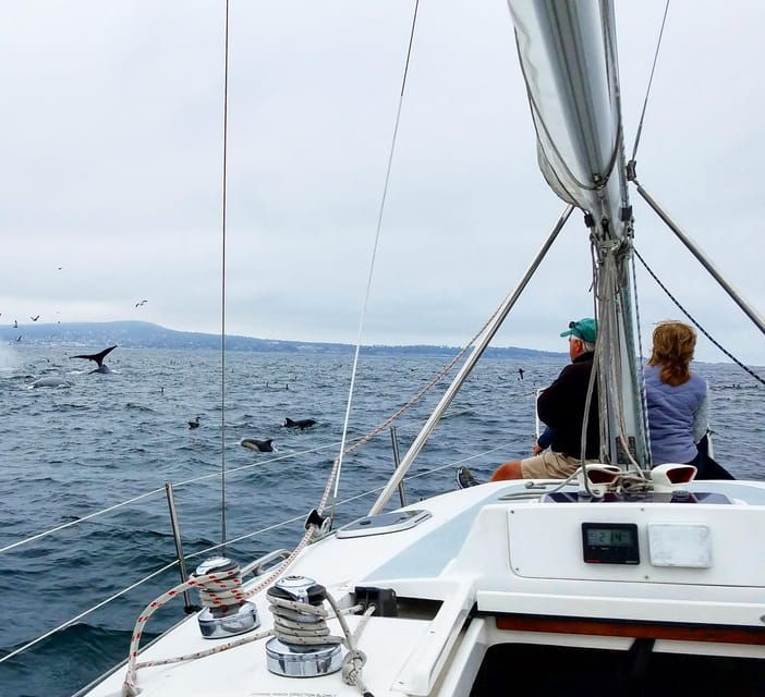 monterey-private-whale-watching-sailing-tour-for-6