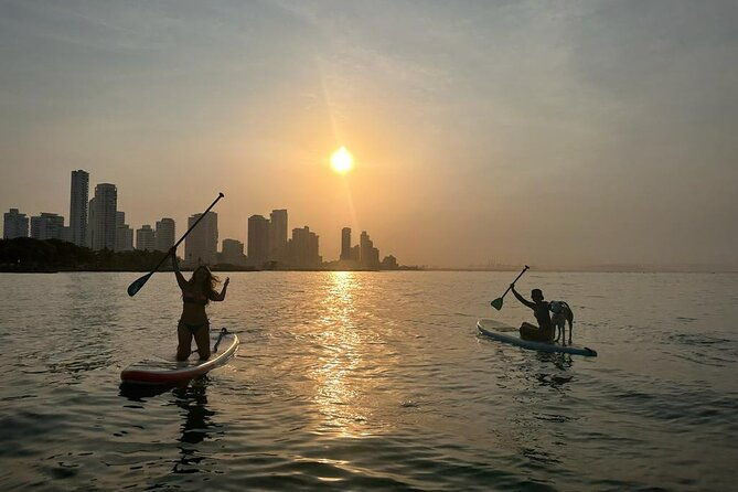 morning-tour-paddleboard-or-kayak