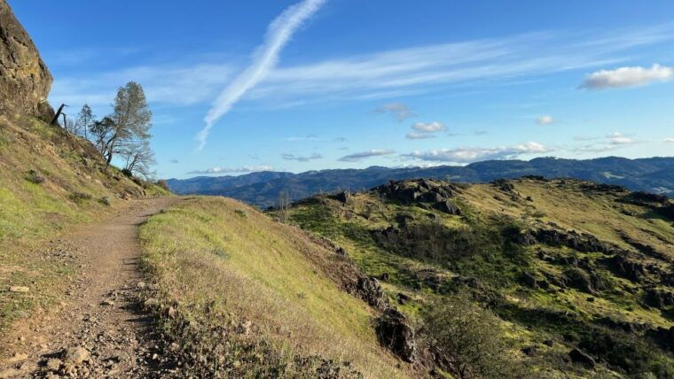 napa-sonoma-guided-tour-for-cycling-enthusiasts
