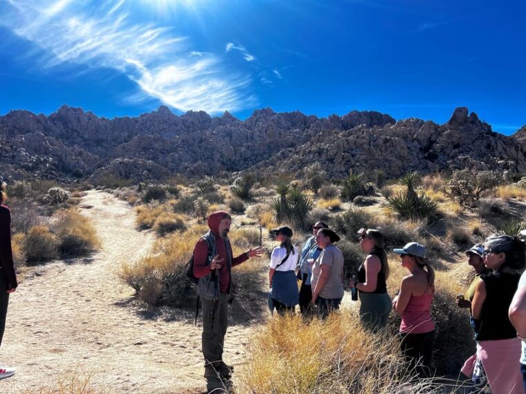 nature-walkcacao-ceremonysoundbath-meditation-joshua-tree