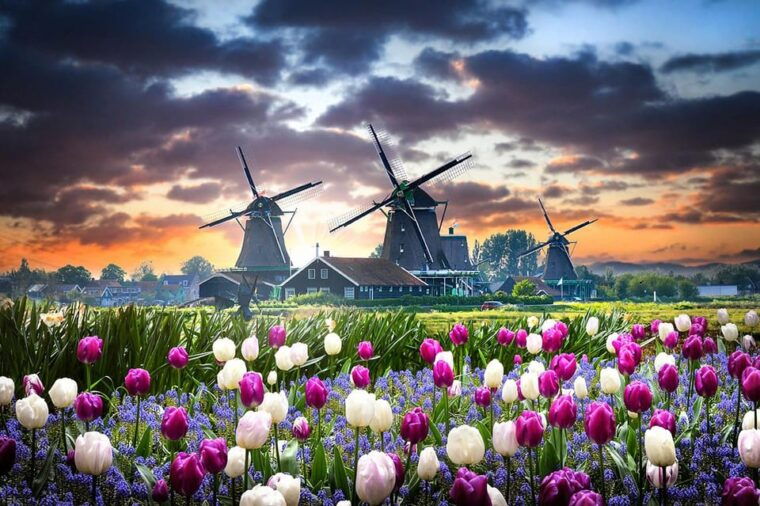 netherlands-private-tourtesla-suv-zaanse-schans-volendam