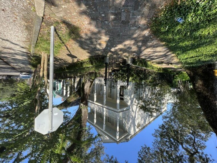 new-orleans-garden-district-architecture-walking-tour