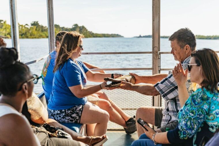 new-orleans-guided-swamp-cruise-by-tour-boat