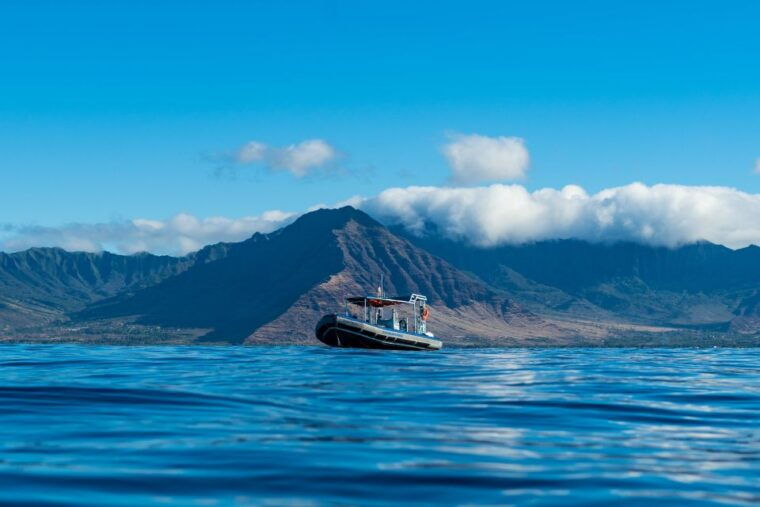 oahu-dolphin-swim-and-snorkeling-speedboat-tour