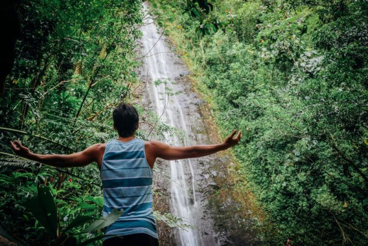 oahu-manoa-falls-waterfall-hike-with-lunch-and-transfers