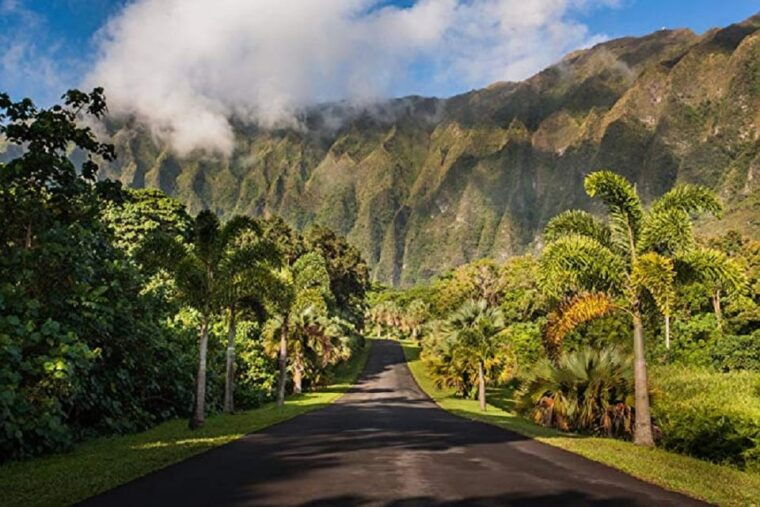 oahu-top-13-things-to-see-slingshot-aloha-tour-2