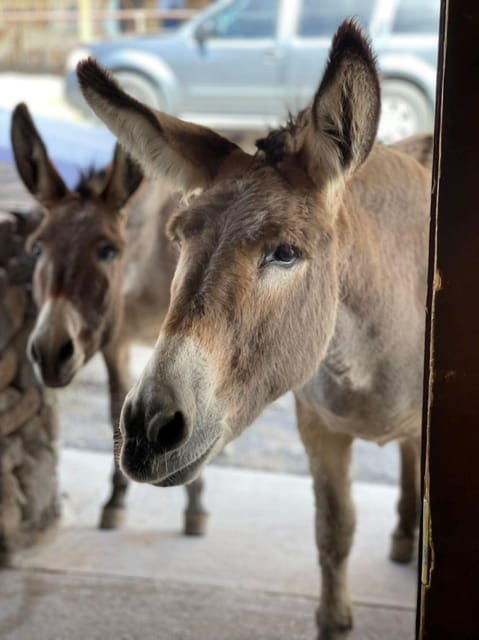 oatman-rt66-3-in-1-combo-tour