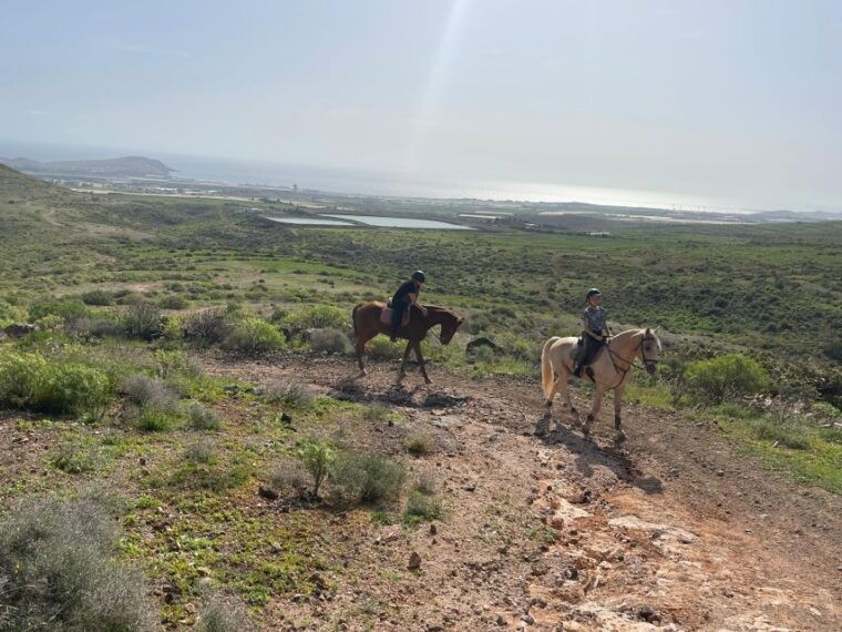 ojos-de-garza-2-hour-las-palmas-mountains-horse-riding-tour