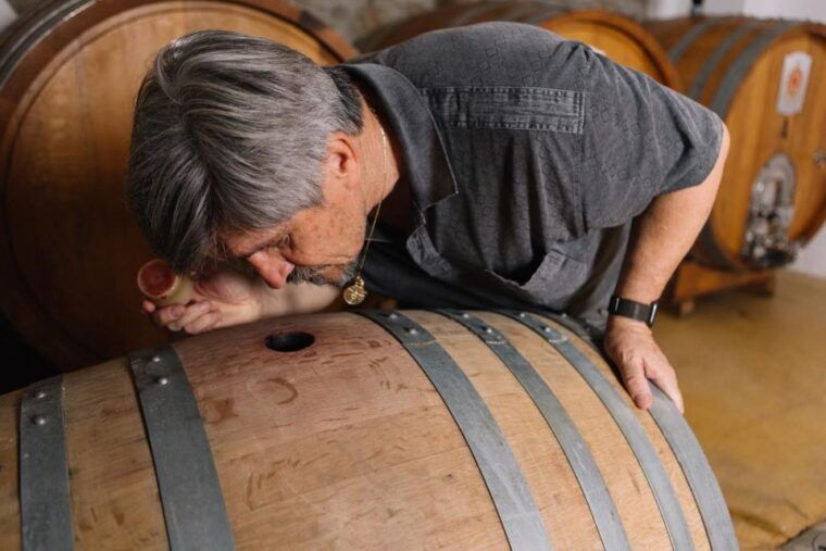 olbia-gallura-winery-guided-tour-with-tasting