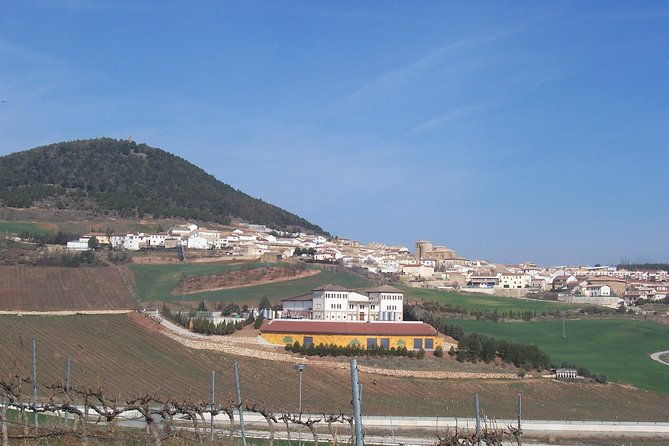 olive-oil-and-navarre-winery-visit-with-tastings-and-lunch-in-small-group-tour