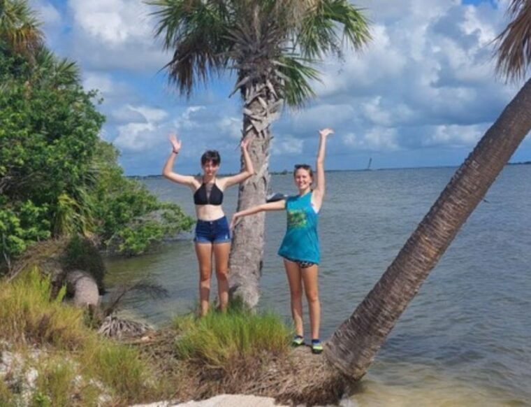 orlando-dolphin-clear-kayak-or-paddle-board-adventure