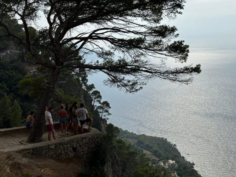 palma-de-mallorca-north-coast-nature-escape-day-tour