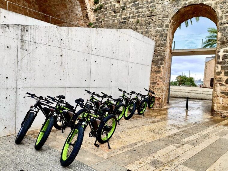 palma-guided-city-tour-with-a-fat-tire-e-bike