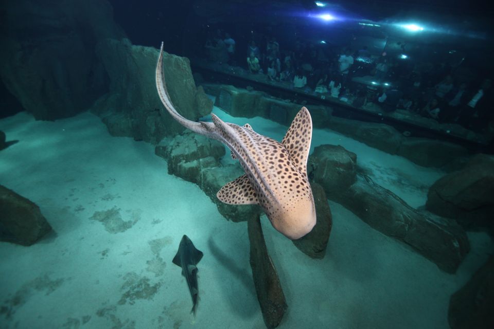 paris-aquarium-de-paris-entrance-ticket